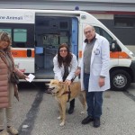 ANCHE LENPA DI AVELLINO SULLE AUTOSTRADE PER LASSISTENZA  AI VIAGGIATORI CON GLI ANIMALI 