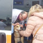 ANCHE LENPA DI AVELLINO SULLE AUTOSTRADE PER LASSISTENZA  AI VIAGGIATORI CON GLI ANIMALI 