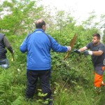 BAIANO. Un gruppo di Angeli  ripulisce il bosco di Arciano