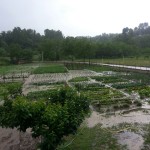 IRPINIA. Alluvione a San Martino Valle Caudina. Foto e Video