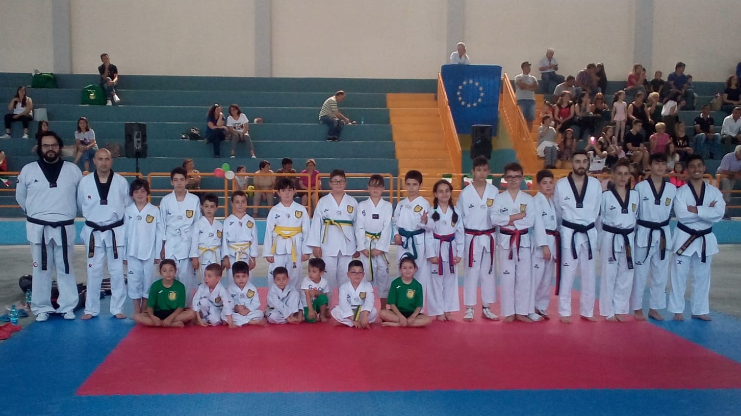 Asd Taekwondo Avellino Da Grottolella A Roma Weekend Ricco Di Impegni Per I Lupi Di Iuliano