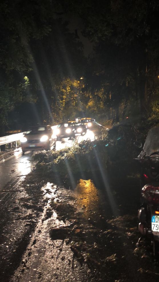 Bomba D'acqua A Roma: Fulmini, Alberi Caduti E Strade Allagate