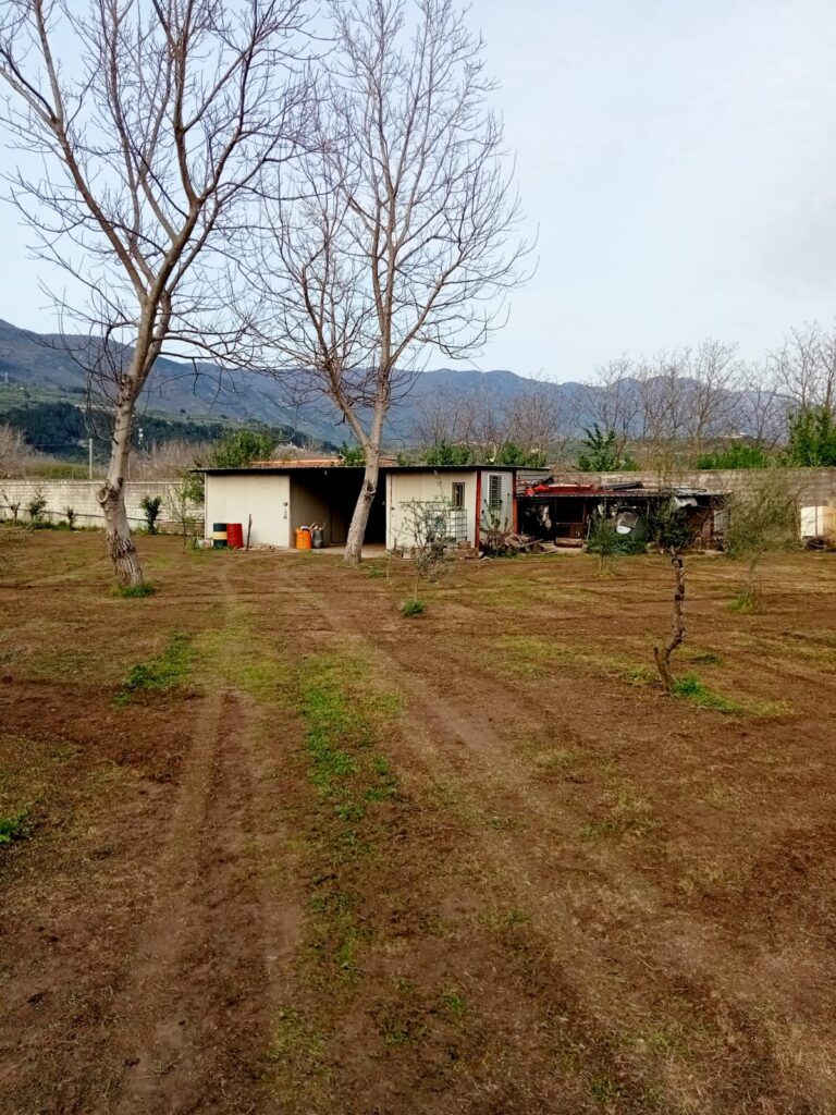 ROCCARAINOLA. Lassociazione Autismo in Movimento pronto a lanciare il progetto orto inclusivo