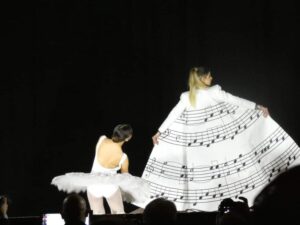 NOLA. Festival “Le Voci di Napoli “ Vince Rubina Della Pietra. Applausi a scena aperta del folto pubblico. Testimonial Pino Mauro