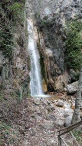 Irpinia   Wwf  Riapre L’Oasi Valle della Caccia nel Comune di Senerchia.