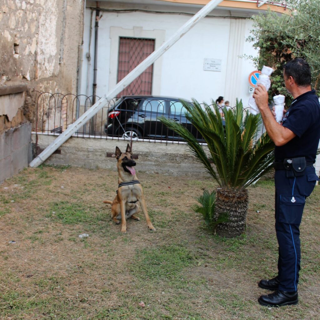 Visciano   Legalità in piazza con la Running Padre Arturo DOnofrio Visciano