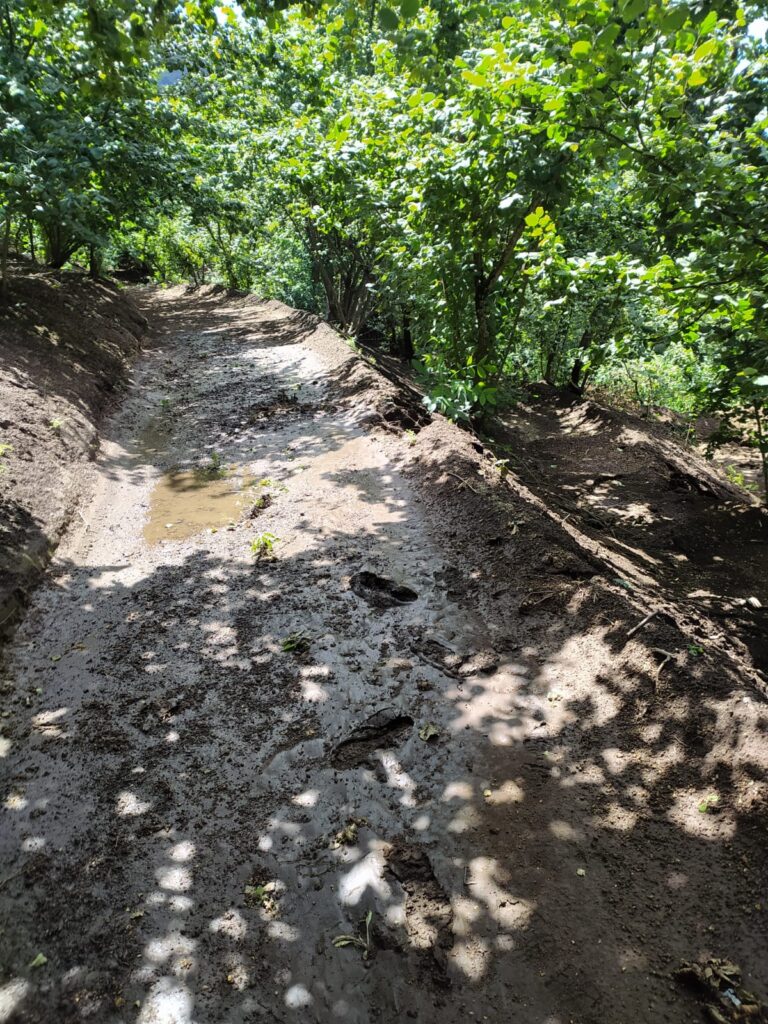 BAIANO. Ripristinata la strada montana Arciano Arcorienzo. Foto