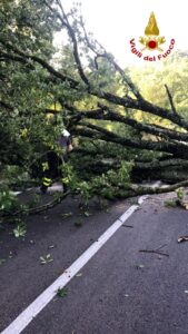 IRPINIA. Maltempo, diversi interventi dei Vigili del fuoco durante la notte