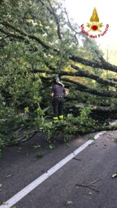 IRPINIA. Maltempo, diversi interventi dei Vigili del fuoco durante la notte