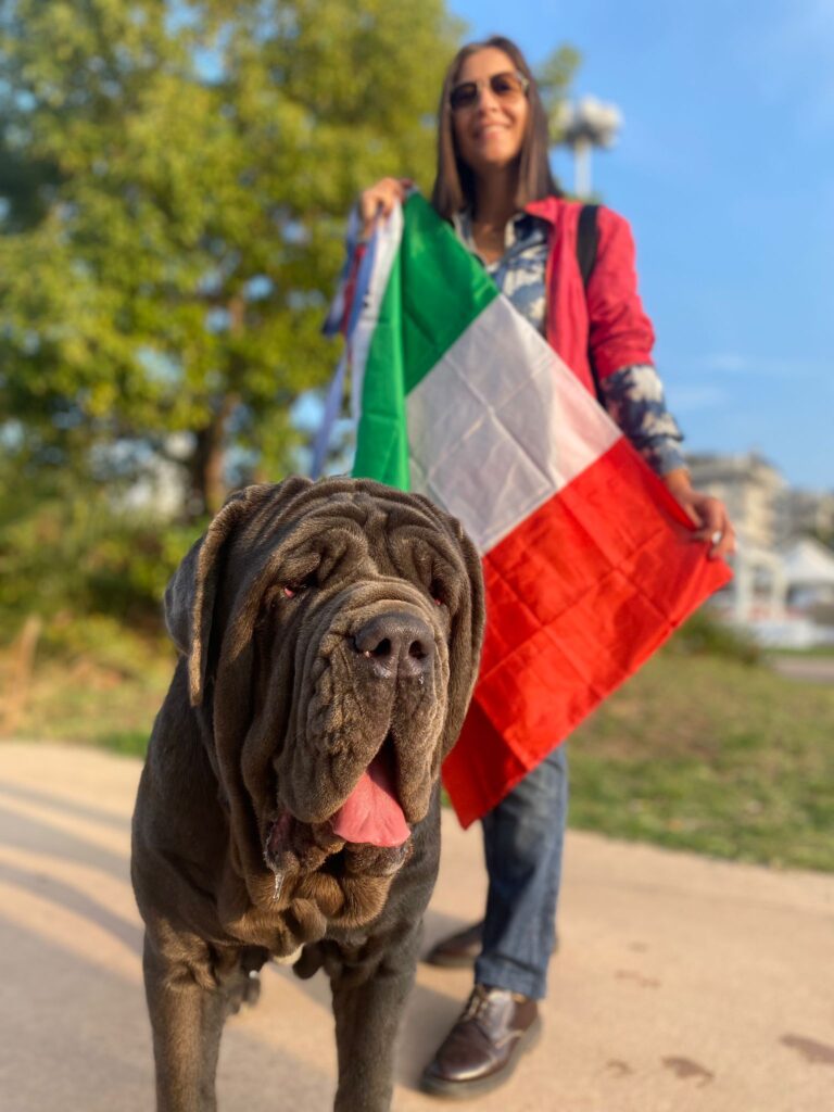 NOLA. Pupetta vince il concorso di bellezza razza mastino napoletano