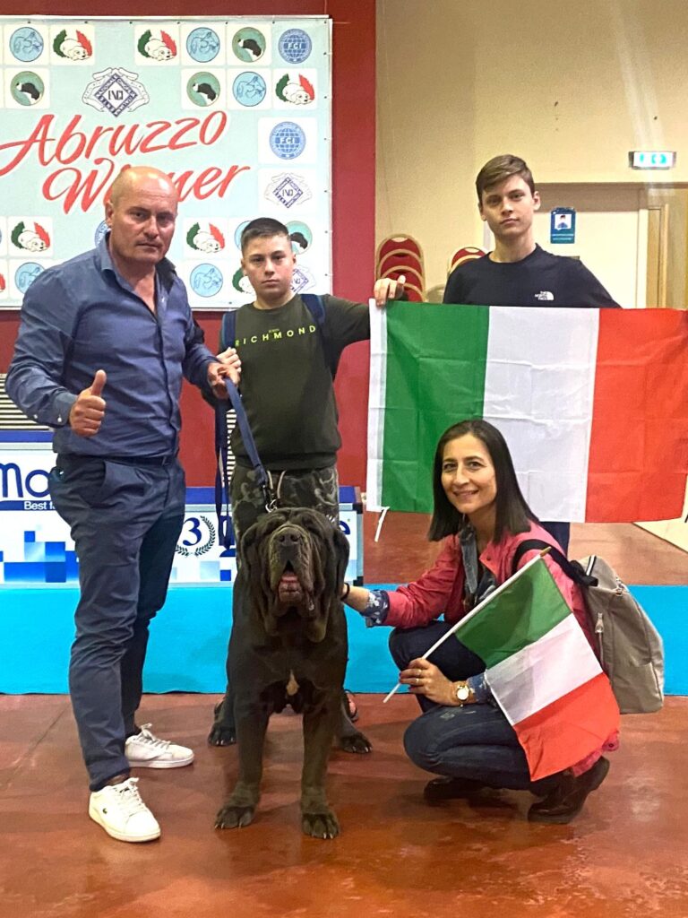 NOLA. Pupetta vince il concorso di bellezza razza mastino napoletano