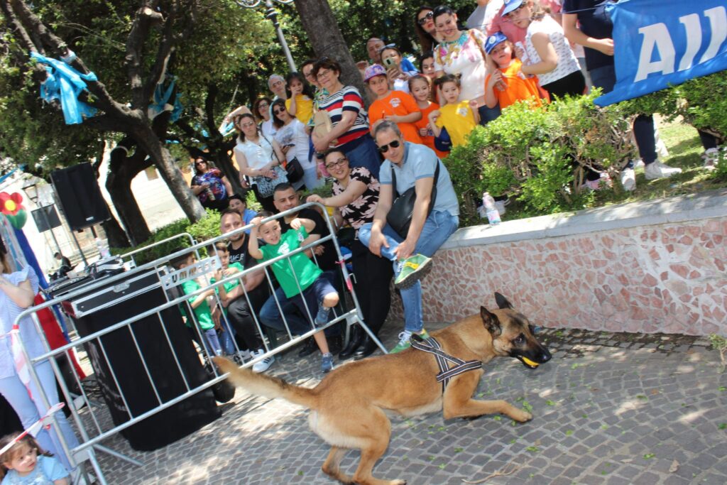 ROCCARAINOLA. In piazza lesibizione dei cinofili. Foto