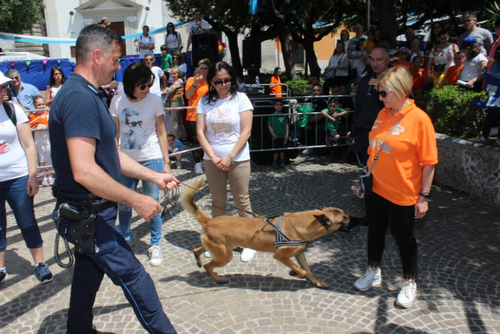 ROCCARAINOLA. In piazza lesibizione dei cinofili. Foto