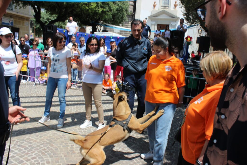 ROCCARAINOLA. In piazza lesibizione dei cinofili. Foto