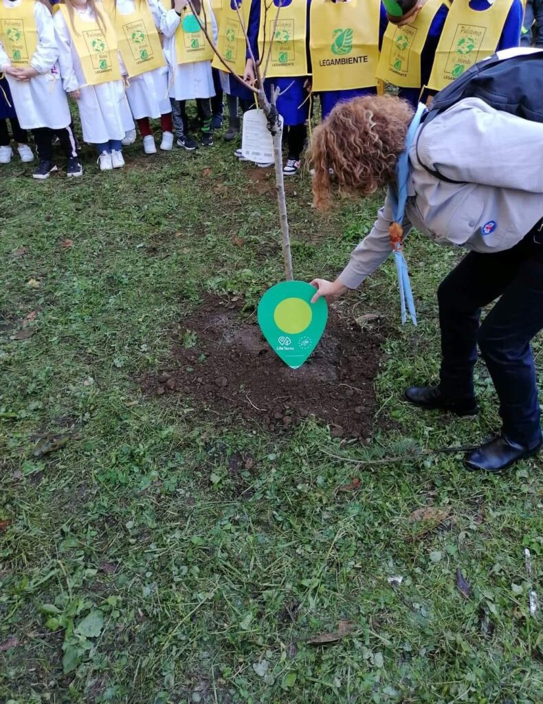 Afragola, rubati sei alberi da frutto nella scuola Marconi piantumati dagli alunni.