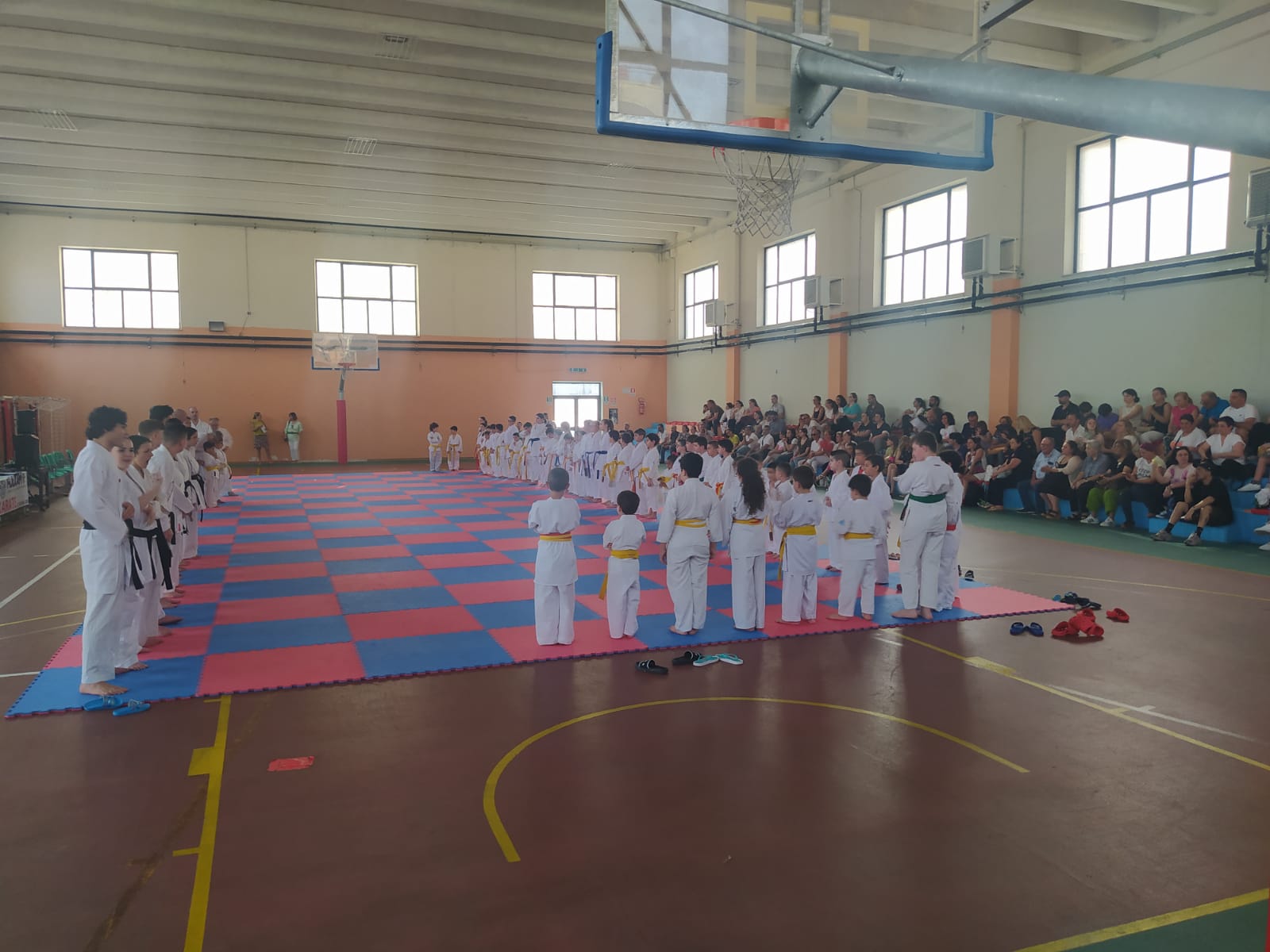 Forino ( Av): Ottimi Risultati per gli atleti della Max e Very Dance agli  esami di Graduazione Karate Fijlkam tenuti oggi ad Avellino. 