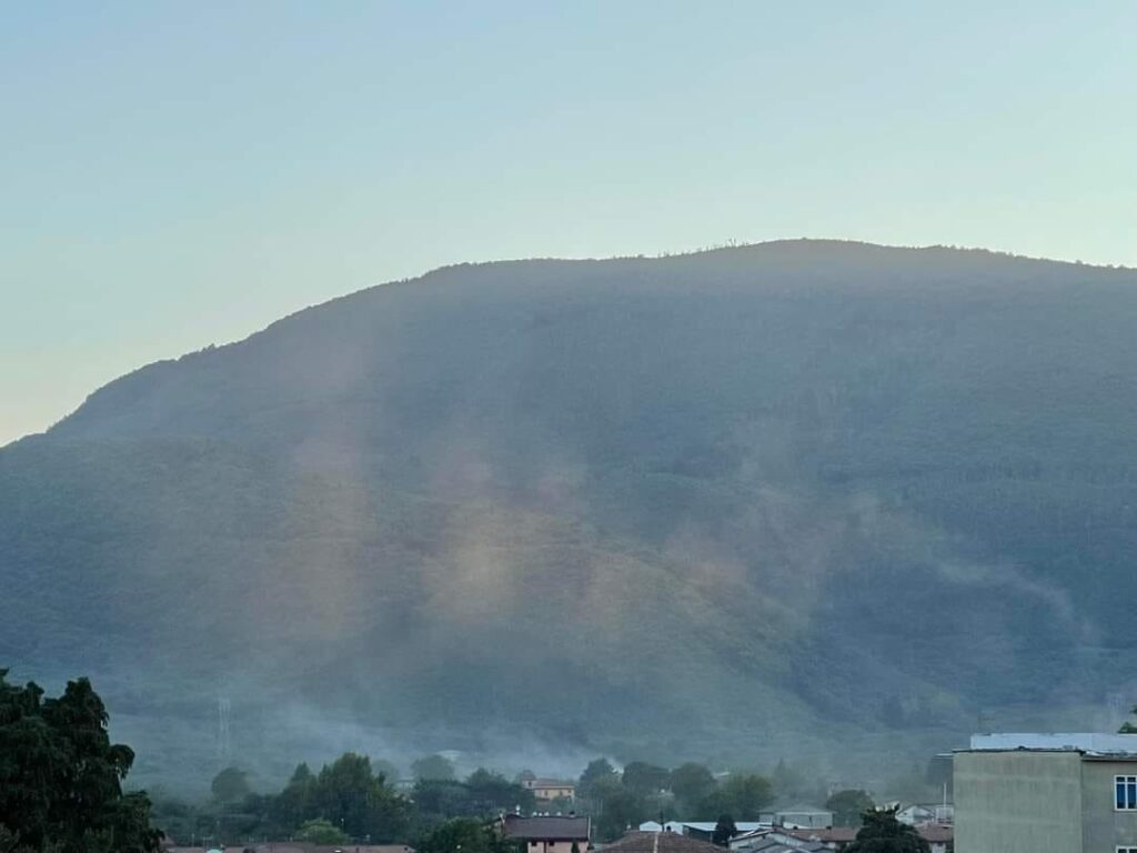 Forino (Av): Aria Irrespirabile per la coltivazione corilicola  intensiva . La protesta corre sui social