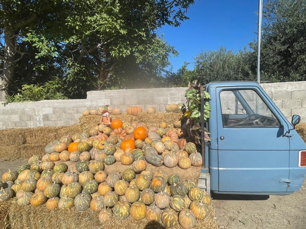 Tufino, arriva MARILAND, IL PAESE DELLE ZUCCHE. Apertura domani alle ore 16.00