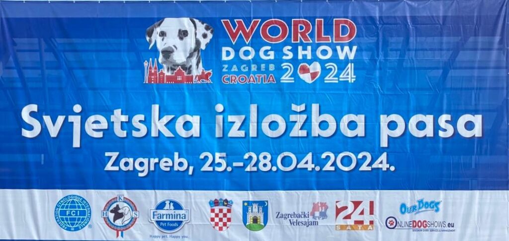 È di Cinquevie di Nola la Vice Campionessa del Mondo di razza mastino napoletano, il suo nome è PUPETTA