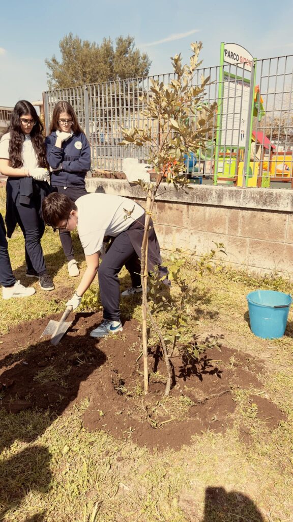 Conclusioni Positive per il Programma SOSTENIBILE ME 2024: 145 Alberi e Arbusti Piantumati per un Futuro più Verde