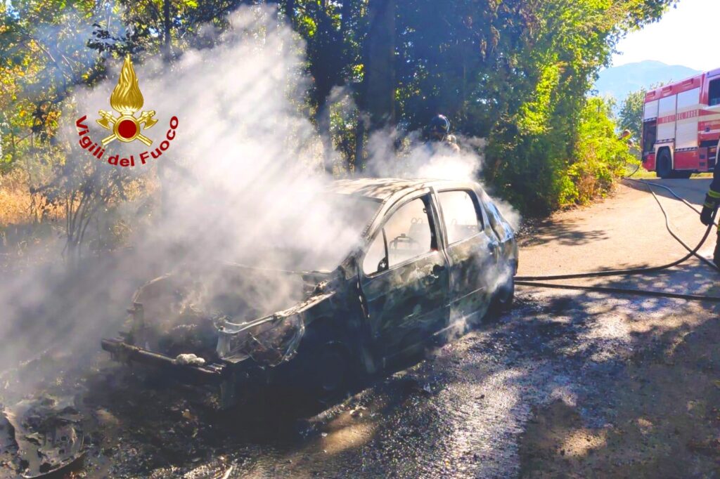 Vigili del Fuoco di Avellino in prima linea: Giornata Campale per combattere gli Incendi