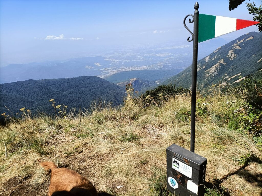 Volontariato e Tradizione: La Pulizia Annuale della Vasca di Summonte