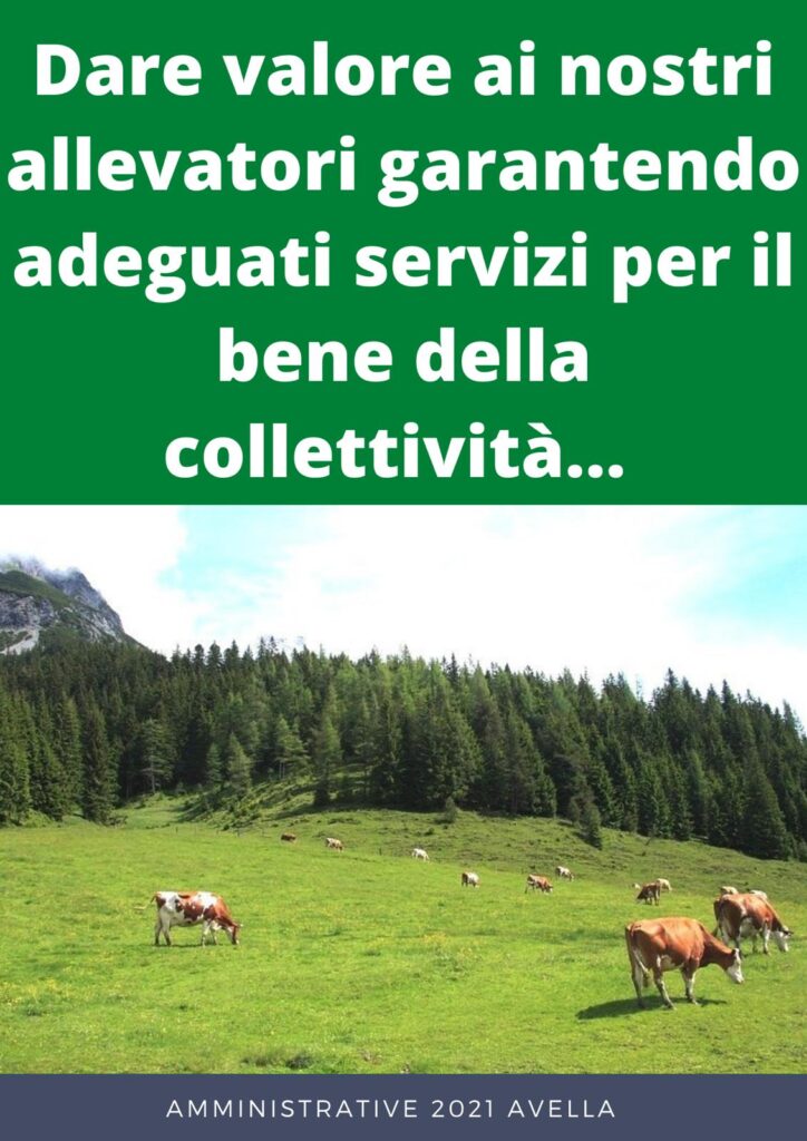 AVELLA. Libero Pensiero: Un Tavolo di Lavoro per il Bene Comune: Quattro Proposte per il Futuro del Mandamento