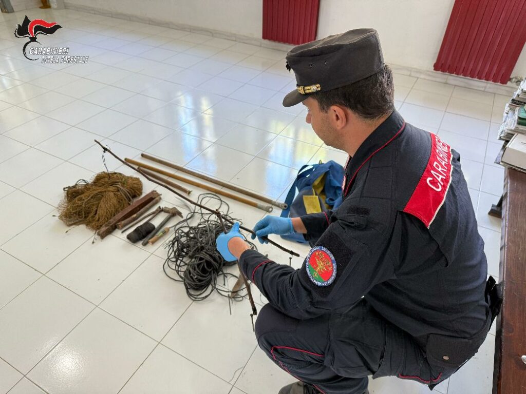 VOLTURARA IRPINA (AV)   DEFERITO 35ENNE PER UCCELLAGIONE ILLEGALE NEL PARCO REGIONALE DEI MONTI PICENTINI.