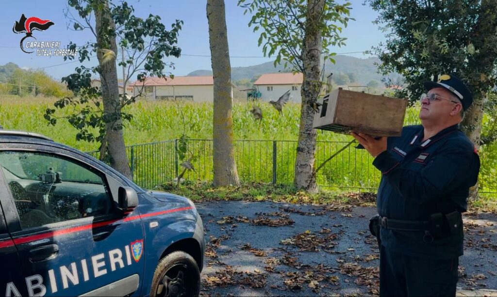 VOLTURARA IRPINA (AV)   DEFERITO 35ENNE PER UCCELLAGIONE ILLEGALE NEL PARCO REGIONALE DEI MONTI PICENTINI.