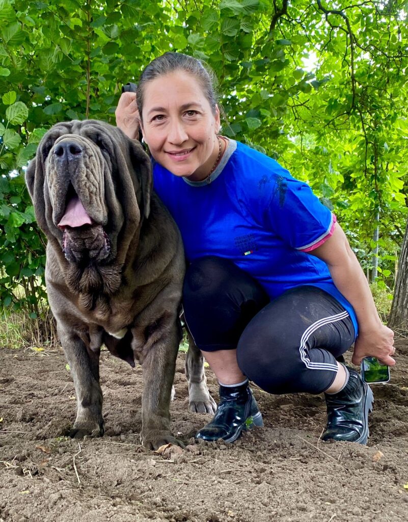 PUPETTA conquista ancora titoli. E’ lei la Vice Campionessa Europea 2024 di razza mastino napoletano.