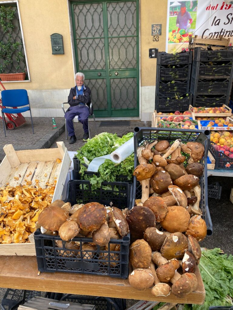 BAIANESE. Addio a Michele Saverio Boccieri, Puparuolo: una vita dedicata allortofrutta del mandamento baianese