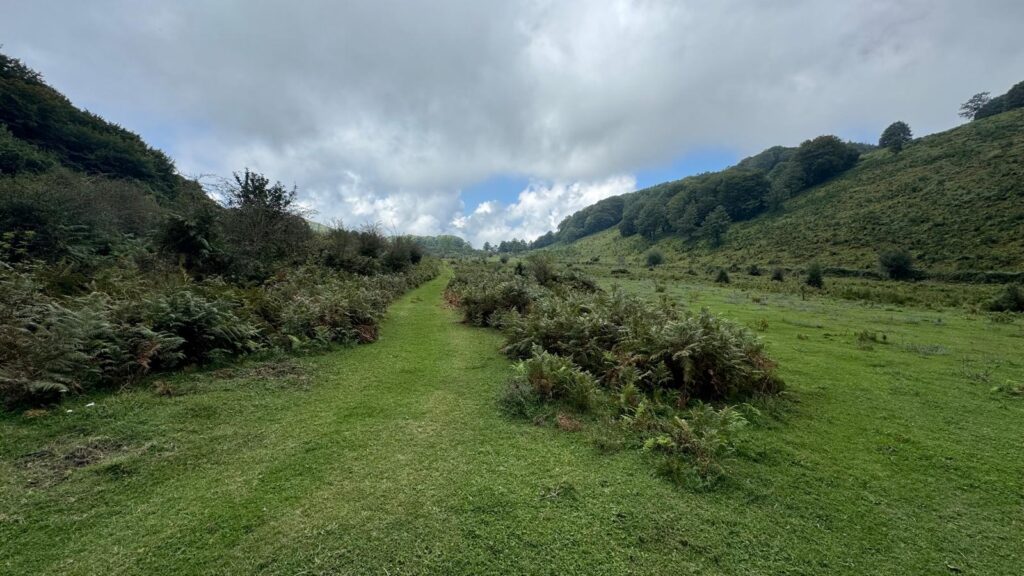 Il Patrimonio Culturale e Naturalistico di Roccarainola: Risorsa per il Territorio e Qualità della Vita