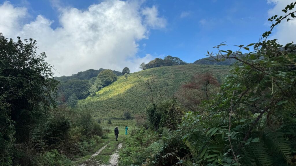 Il Patrimonio Culturale e Naturalistico di Roccarainola: Risorsa per il Territorio e Qualità della Vita