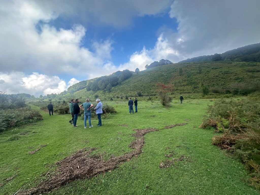 Il Patrimonio Culturale e Naturalistico di Roccarainola: Risorsa per il Territorio e Qualità della Vita