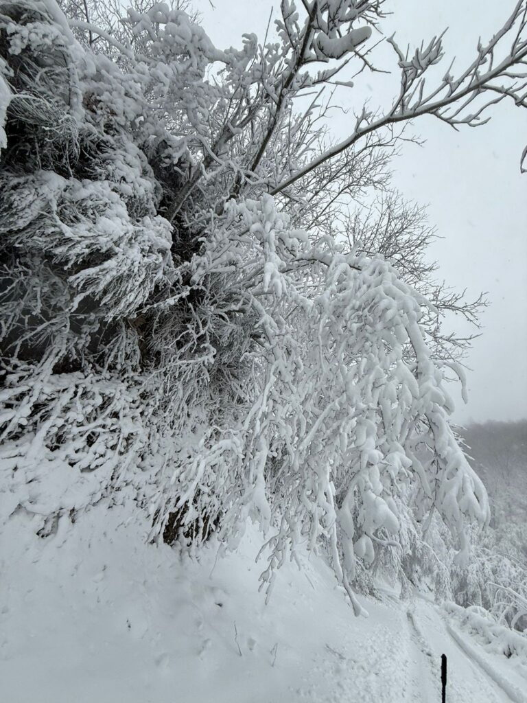 Partenio imbiancato sopra i 400 metri, pronti per le attività sportive invernali. Irpiniavventura ti aspetta per il weekend