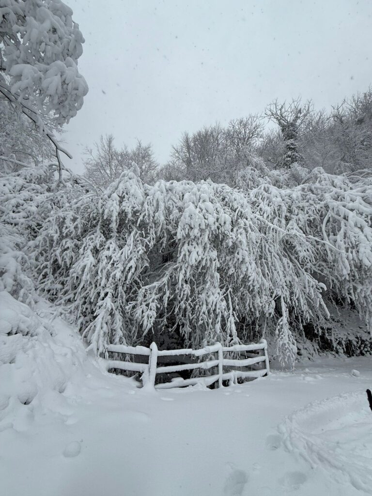 Partenio imbiancato sopra i 400 metri, pronti per le attività sportive invernali. Irpiniavventura ti aspetta per il weekend