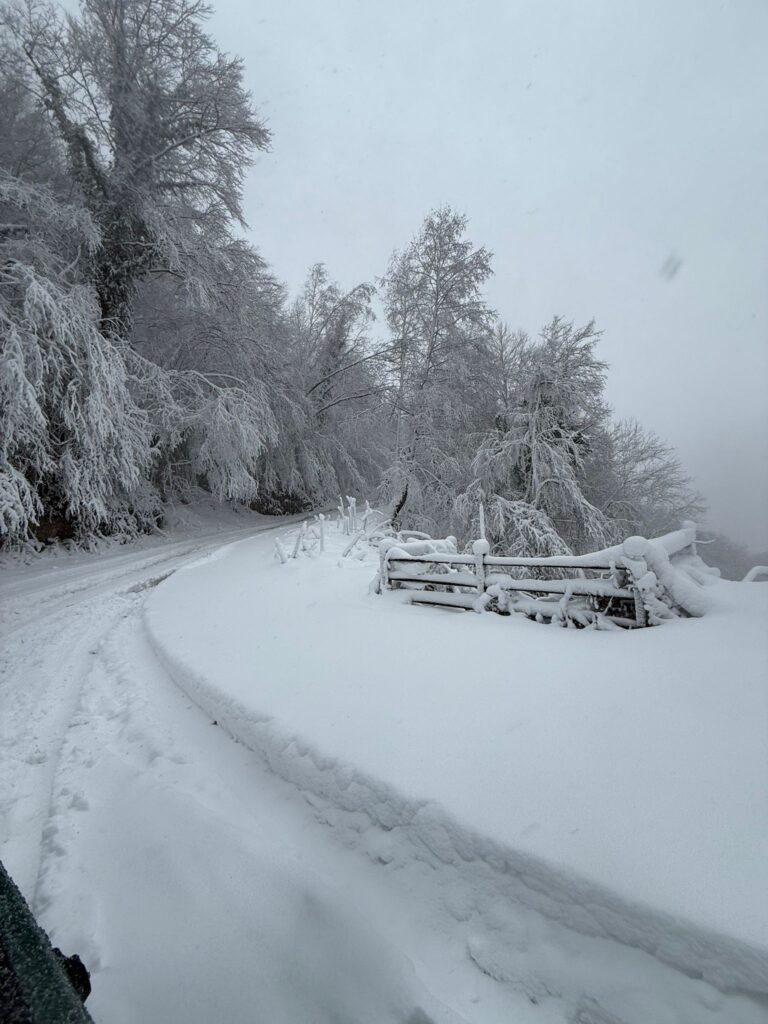 Partenio imbiancato sopra i 400 metri, pronti per le attività sportive invernali. Irpiniavventura ti aspetta per il weekend