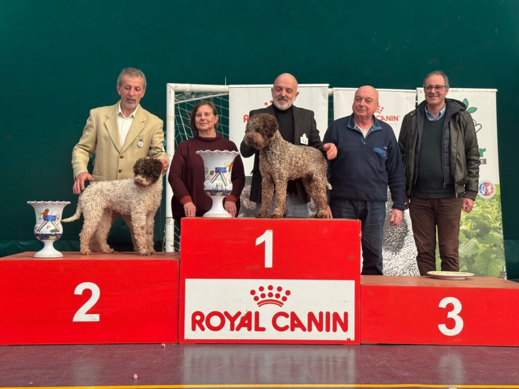 Altavilla Irpina capitale del Lagotto Romagnolo.