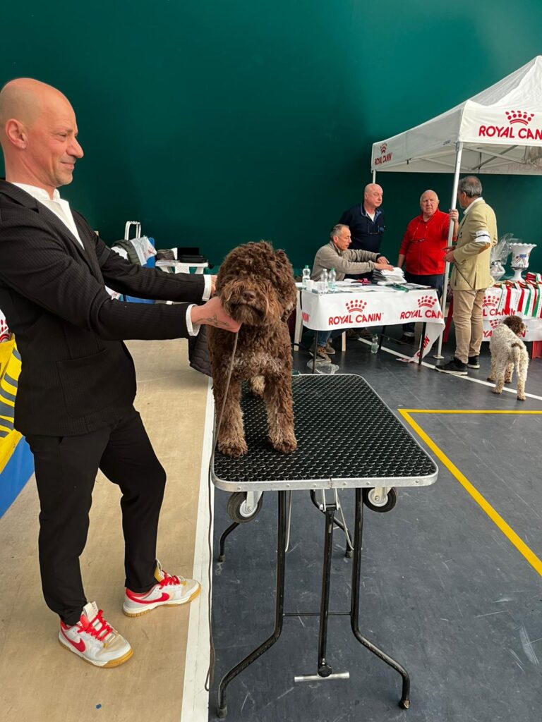 Altavilla Irpina capitale del Lagotto Romagnolo.