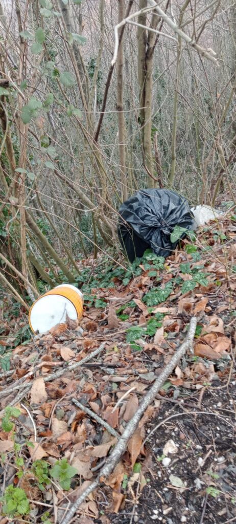 Forino (Av): Strada SP 30 Forino   Bracigliano una discarica a cielo aperto