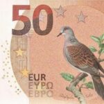 Arrivano le Nuove Banconote in Euro: Design e Temi delle Future Monete