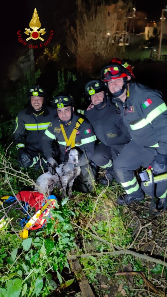 Salvataggio di un cane a Salza Irpina: intervento dei Vigili del Fuoco di Avellino