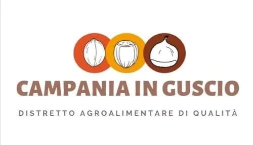 Nuovo Presidente del Distretto del Cibo Campania in Guscio: Eletto lAgronomo Felice Napolitano di Sperone (Av)