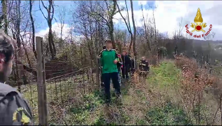 Paura tra i boschi: Vigili del Fuoco salvano cinque ragazzi da un branco di cinghiali ad Aiello del Sabato