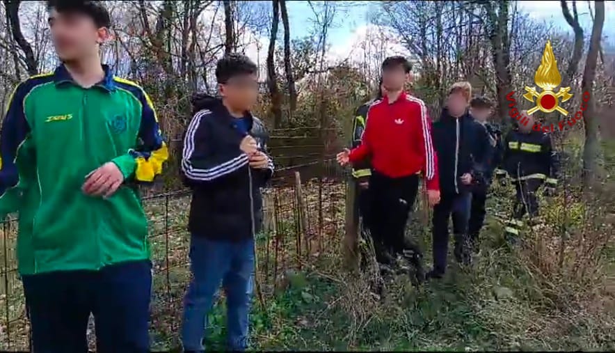 Paura tra i boschi: Vigili del Fuoco salvano cinque ragazzi da un branco di cinghiali ad Aiello del Sabato