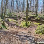 Alla scoperta del Vallone Acquaserta con Avventure Verticali: un viaggio tra cascate e sentieri nascosti nel cuore di Quadrelle(FOTO)
