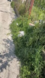 Sperone Libera  Arcobaleno: Sperone merita di più: basta simboli, servono azioni concrete