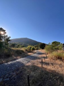 Pasquetta 2025: eco escursione sul Vesuvio adatta a tutti