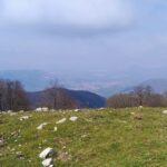 Alla scoperta del Vallone Acquaserta con Avventure Verticali: un viaggio tra cascate e sentieri nascosti nel cuore di Quadrelle(FOTO)